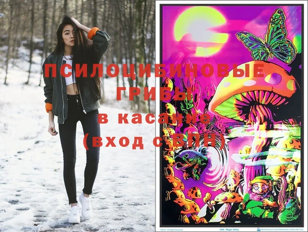 PSILOCYBIN Алзамай
