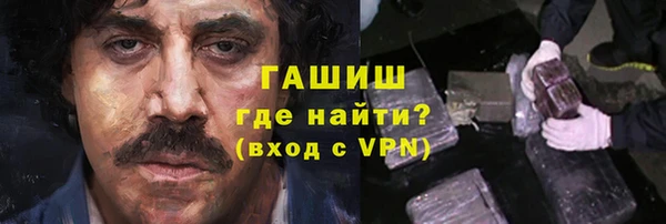 PSILOCYBIN Алзамай