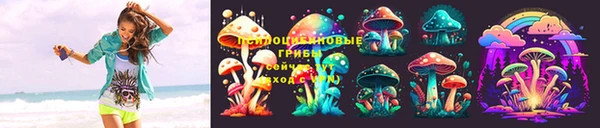 стафф Абинск