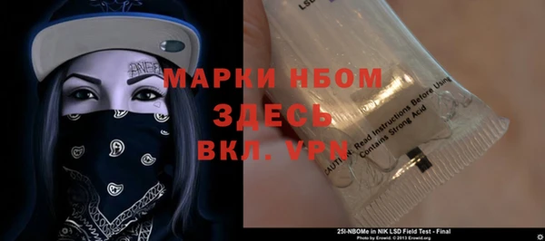 PSILOCYBIN Алзамай