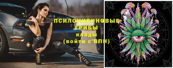 PSILOCYBIN Алзамай