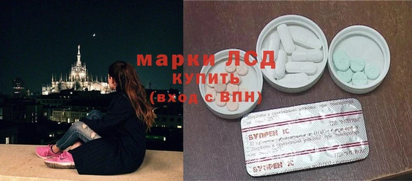 PSILOCYBIN Алзамай