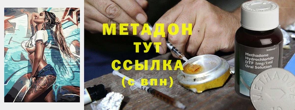 PSILOCYBIN Алзамай