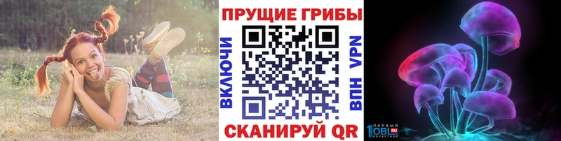 Псилоцибиновые грибы Cubensis Устюжна